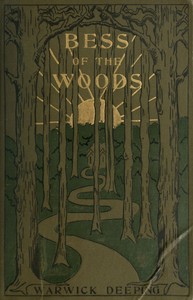Cover of Bess of the Woods — Background and Themes